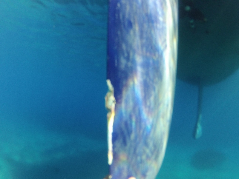 [Immagine: 201311583322_Estate 2012_00001.jpg]